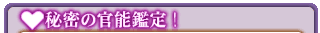 ��̩�δ�ǽ���ꡪ